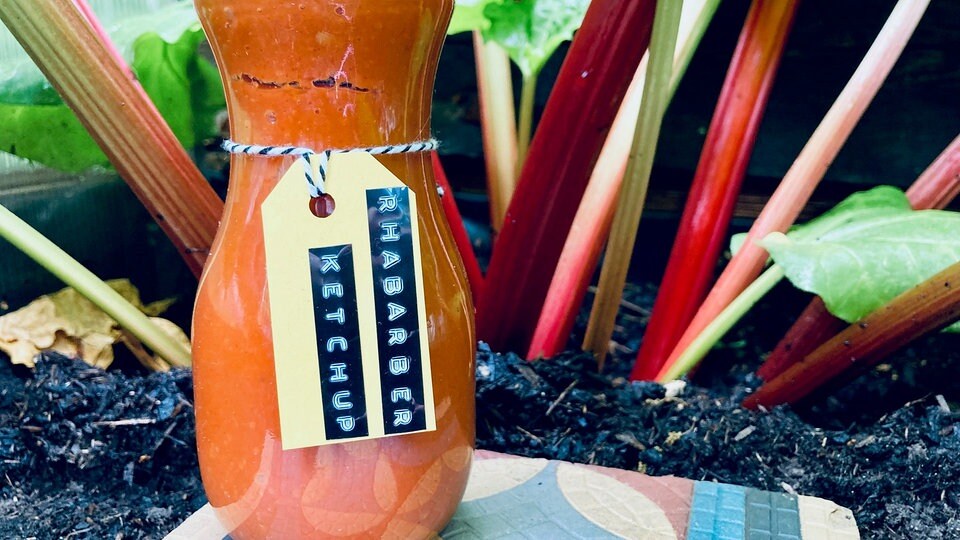 Rhabarber einkochen 2 tolle Rezepte MDR.DE