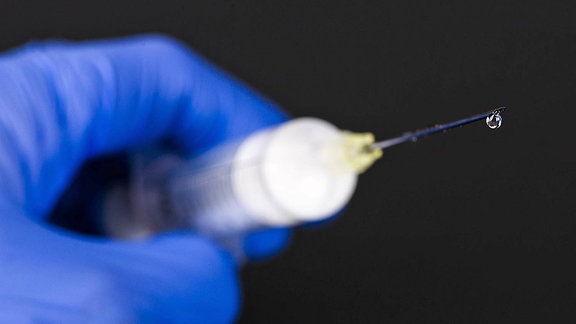 Eine Hand mit einem blauen medizinischen Handschuh hält eine Spritze mit einer Injektionsnadel, ein Tropfen Medizin an der Nadelspitze 
