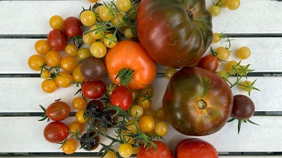 Verschiedene Sorten Tomaten