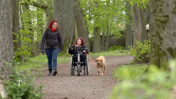 Ein Hund läuft neben einer Frau im Rollstuhl.