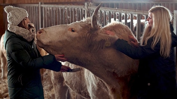 Zwei frauen streicheln eine Kuh im Stall