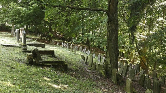 Der jüdische Friedhof in Aschenhausen