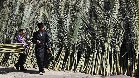 Laubhüttenfest in Israel Ultra-Orthodox