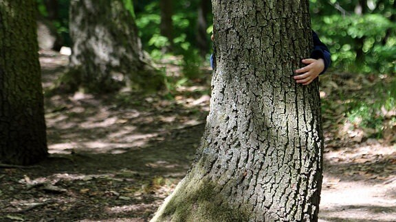 Kinderhand an einem Baum