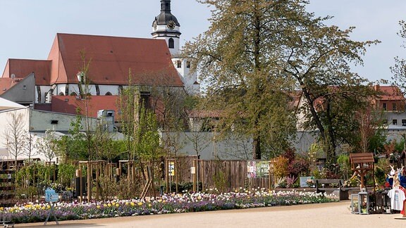 Landesgartenschau Torgau
