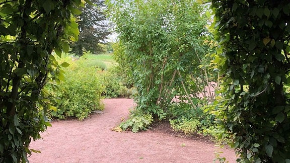 Pflanzenlabyrinth im Kloster Helfta