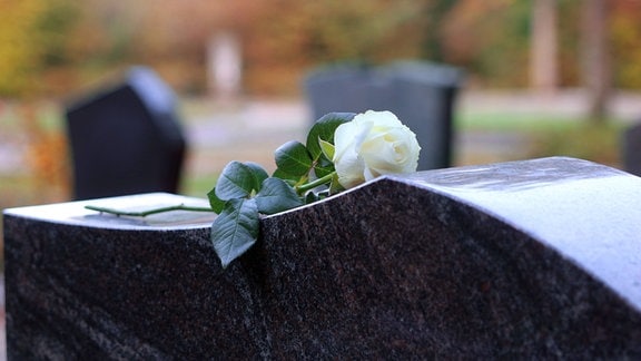 Eine weiße Rose als Zeichen der Trauer