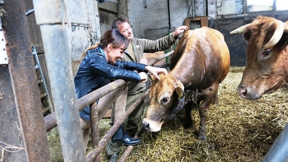 Susi Brandt steht in einem Kuhstall und streichelt mit dem Züchter Kühe.