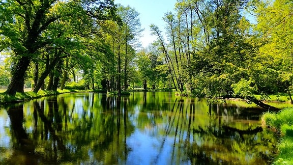 Schlosspark zu Krumke: ein Gewässer umrundet von sattem Grün