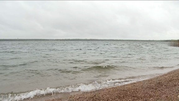 Blick vom Ufer auf den Gröberner See