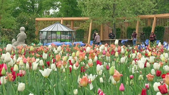 Blühende Tulpen, im Hintergrund Besucher auf dem LAGA-Gelände.