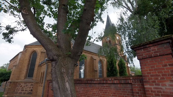 Dorfkirche hinter einem alten Baum.