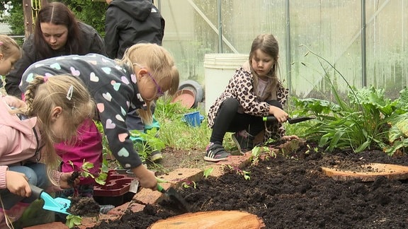 Kinder pflanzen Setzlinge ein.
