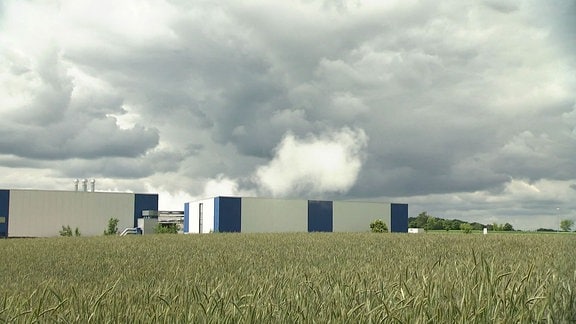 weißer Dampf über einer Fabrikhalle, im Vordergrund ein Feld