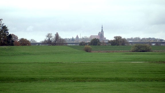 Auenlandschaft mit Deich bei Stendal.