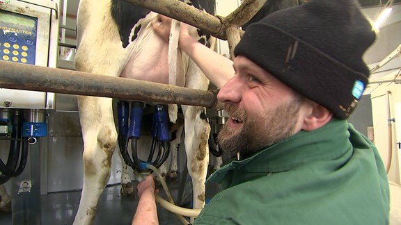 Chris Kubaink, Herdenmanager, das Euter einer Kuh beim Melken streichelnd