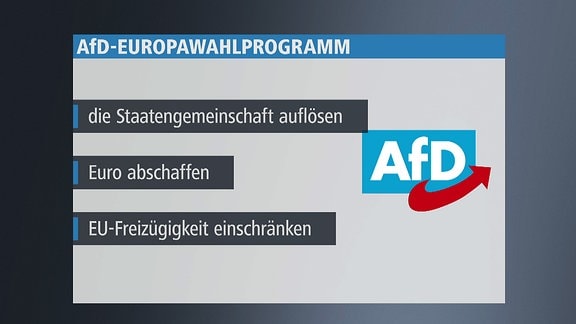 Grafik zum Thema AfD-Europawahlprogramm