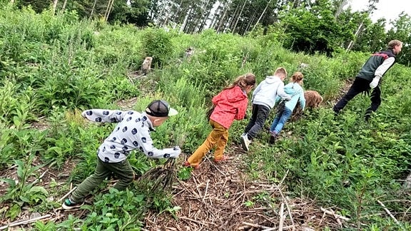Kinder gehen mit Bäumchen in den Händen auf einem Berghang zur Pflanzung