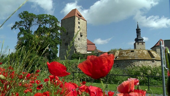 Ein Blick auf den historischen Marterturm der Burg Querfurt; im Vordergrund befinden sich Mohnblumen; der Himmel ist blau