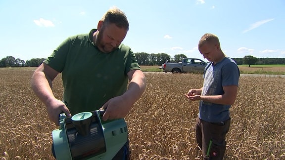 Landwirt Norbert Kühl mitte den Reifegrad seines Getreides