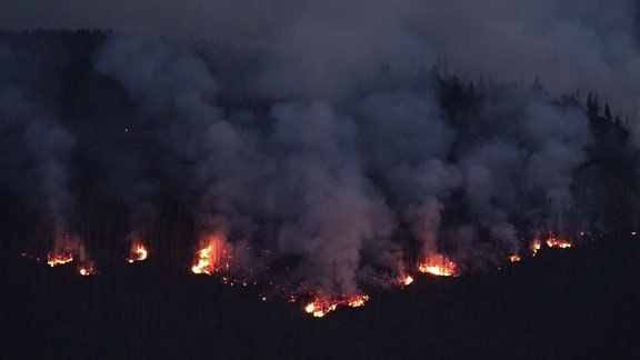 Waldbrand auf dem Brocken