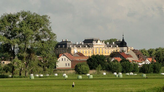 Blick über die Wiesen hinweg auf das Dorf Dornburg mit Barockschloss und Schlosskirche.