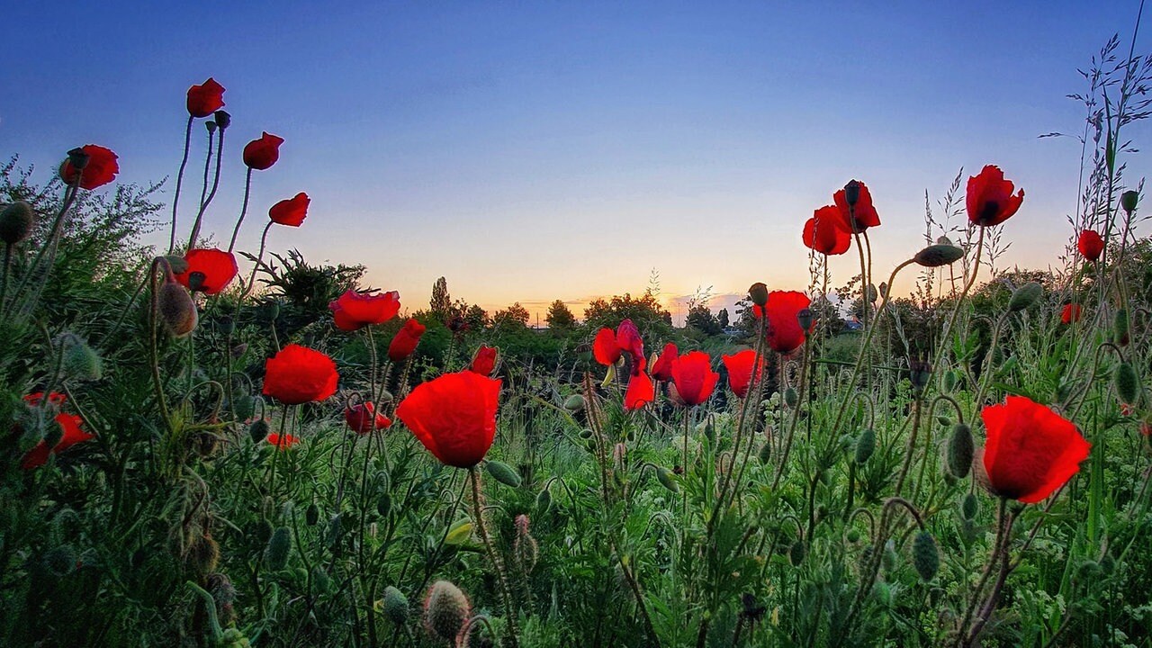 Hintergrundbilder Landlichen Kanon Landschaft Eos Julianisch