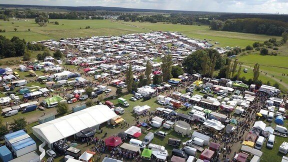 Pferdemarkt Havelberg MDR.DE