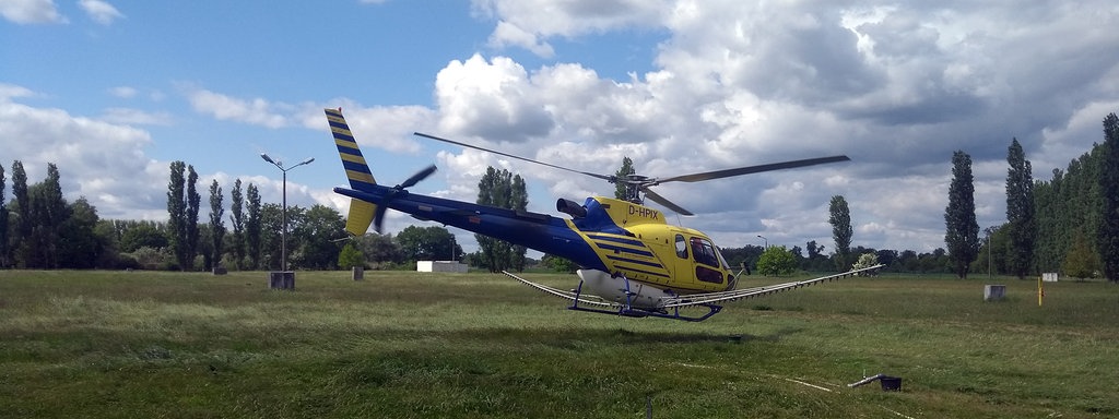 Eichenprozessionsspinner In Der Altmark Hubschrauber Mit Gift Im Einsatz Mdr De