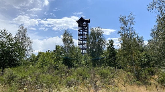 Haselbergturm in der Königsbrücker Heide