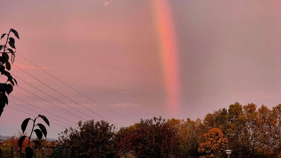 Regenbogen