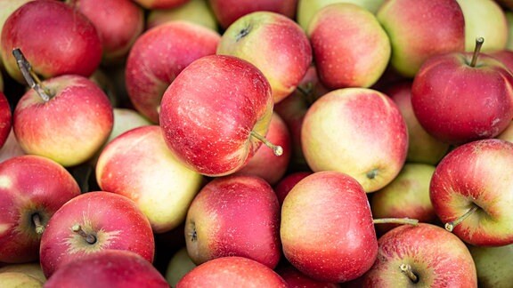 Große Menge roter , geernteter Äpfel liegen übereinander.