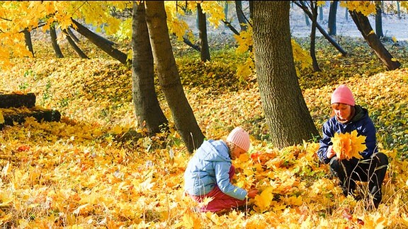 Herbststimmung - Zwei Menschen sitzen im Gras und sammeln runter gefallene Blätter.