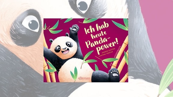 Buchtipp "Ich hab heute Pandapower!"