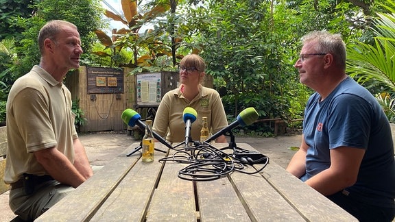 Drei Menschen zeichnen an einem Tisch in Gondwanaland sitzend einen Podcast auf.