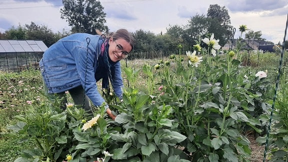 Gärtnerin pflückt Blumen