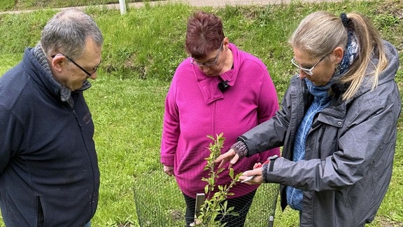 Gartenberatung: Silvio Zschage und Helma Bartholomay in Dippoldiswalde