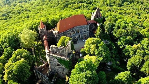 Zamek Grodziec - Spuren der Geschichte: Mehrmals wurde die Burg verwüstet, historische Sammlungen gestohlen und niedergebrannt. 