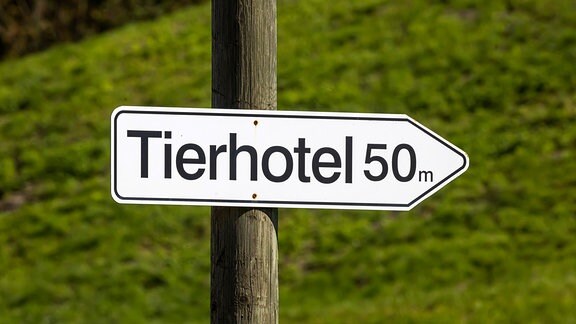 Wegweiser zu Tierhotel