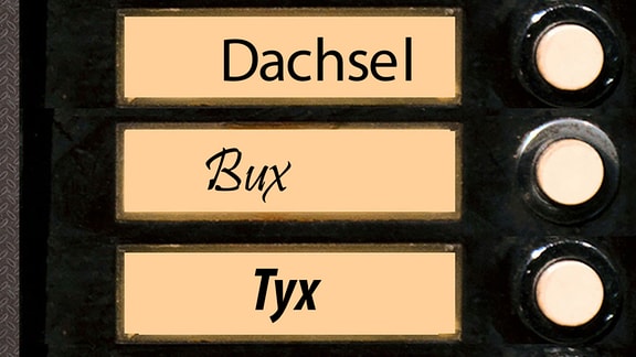 Klingelschild mit den Namen Dachsel, Bux, Tyx