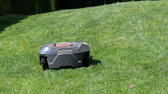 Ein Roboter-Rasenmäher zieht seine Spur über den Rasen in einem Garten in Bad Wörishofen.