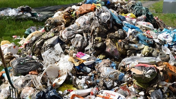 Studenten am Institut für Ablauf- und Kreislaufwirtschaft in Pirna trennen Müll