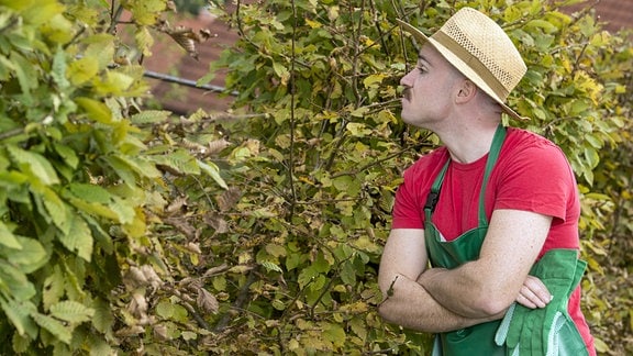 Ein neugieriger Gartennachbar schaut über die Hecke. (gestellt)