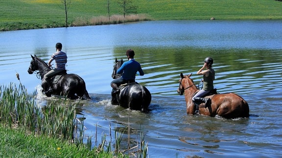 Drei Reiter*innen durchqueren einen Teich.