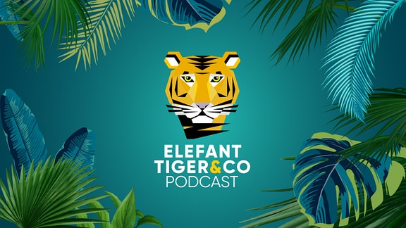 Podcast Elefant Tiger und Co