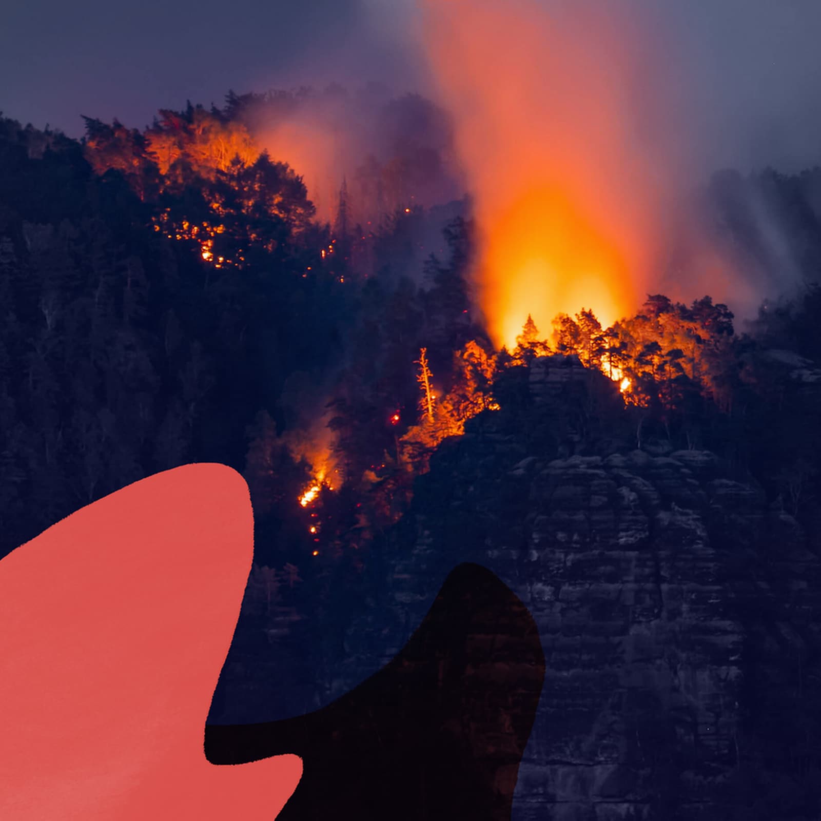 Der Waldbrand - wenn die Natur in Flammen steht