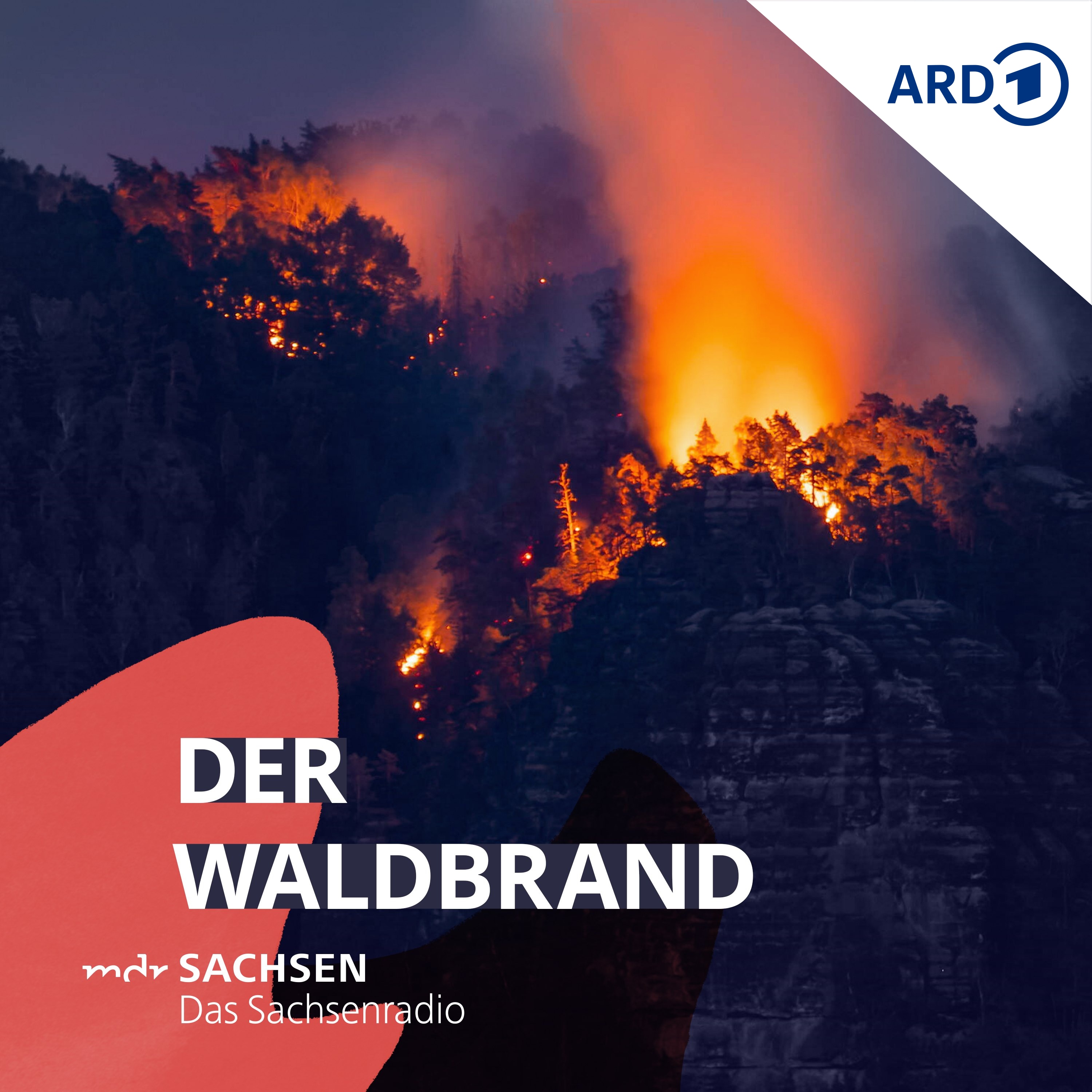 Der Waldbrand – wenn die Natur in Flammen steht podcast artwork