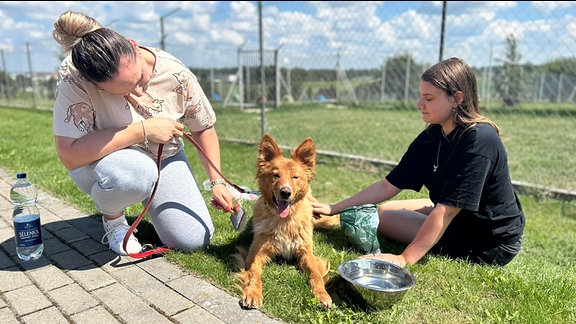 Zu Besuch in Tatary (Polen) im Tierheim