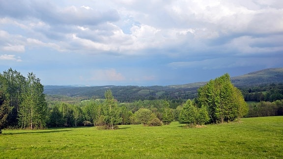 Fernblick in die Umgebung mit sanften bewaldeten Tälern und Hügeln