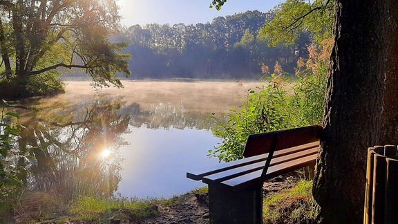 Eine Bank an einem Teich